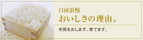 白河浪慢 おいしさの理由。