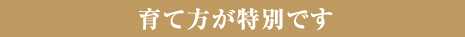 育て方が特別です